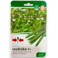 ราคา ศรแดง เมล็ด บวบเหลี่ยม เฮอคิวลิส (25 เมล็ด) (506197235)
