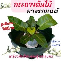 ราคา กระถางยางรถยนต์ ปลูกต้นไม้ *มีรูระบายน้ำ ขนาดใหญ่ 60 ซม. (ขายแยกกับขาตั้ง) ทนทาน ใช้งานดี #เกรียงศักดิ์พันธุ์หญ้า (51007406437)