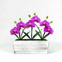 ราคา Oriental Fine Art กระถางกล้วยไม้ ดอกไม้ประดิษฐ์สำหรับตกแต่งบ้าน ดอกไม้ปลอมเกรดพรีเมี่ยม (6569894943)