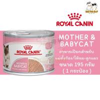 ราคา (1 กระป๋อง) Royal Canin Baby Cat Can อาหารชนิดเปียก แบบกระป๋อง ขนาด 195 กรัม (43365626951)