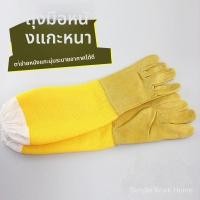 ราคา ถุงมือป้องกันผึ้ง ถุงมือเลี้ยงผึ้ง ถุงมือตาข่าย ถุงมือระบายอากาศ ถุงมือป้องกันการถูกต่อย อุปกรณ์เลี้ยงผึ้ง คุณสมบัติระดั (47805685211)