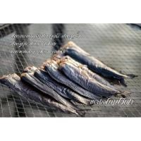 ราคา ปลาดุกร้า ของหรอยปากพนัง หรอยแรงครึ่งกิโล135 (23425349967)