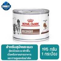 ราคา Royal Canin Vet Diet Recovery Canned อาหารสำหรับสุนัขและแมว พักฟื้น 195 กรัม (8829525832)