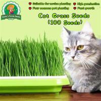 ราคา 100 เมล็ด Natural Cat Grass Seeds หญ้าแมว เมล็ดหญ้า ต้นข้าวสาลีแมว สำหรับ หมา แมว หนู กระต่าย นก และสัตว์กินหญ้าอื่นๆ (25347382603)