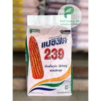 ราคา เมล็ดพันธุ์ข้าวโพด แปซิฟิค 239 (3.5 หุน) *ขนาด 10 กก. เก็บเกี่ยวไว ฝักใหญ่ ผลผลิตสูง (45459937806)