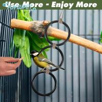 ราคา FOVIUPET APPEAEA แหวนปีนเขางู, Interactive Enrichment Toy Ball Python Enrichment, ทําความสะอาดง่ายทนทาน Hoop Chain ของเล่นงูกรง (45906675106)
