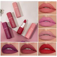 ราคา Matte Matte Lipstick Not Easy to Fade Non-Stick Cup Set Matte Lipstick Long-Lasting Student Outer Box 6 สี Niche 26.13 (51210430661)