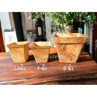 ราคา กระถางใยมะพร้าว coir​pors​ cocopots​ coconut ​fiber​ กระถาง ใยมะพร้าว กระถางต้นไม้ รักษ์​โลก​ (22359071505)