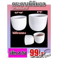 ราคา กระถางมินิมอลคละไซส์5.3"&6"เซ็ท2ใบ/ไม่มีจานรอง (11648312247)