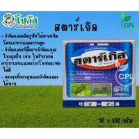 ราคา สตาร์เกิล ไดโนทีฟูแรน (โซตัส) 1กิโลกรัม (28263325662)