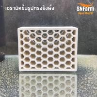 ราคา เซรามิค​ขึ้นรูปทรงรังผึ่ง​ ตกแต่งตู้ปลา​ ​เป็นที่หลบสำหรับกุ้งแคระและปลาขนาดเล็ก (25590919217)
