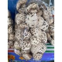 ราคา เห็ดหอมญี่ปุ่น เห็ดหอมแห้ง ดอกใหญ่（日本大白花菇 ）ขนาด 500g เกรดพรีเมี่ยม ดอกสวย #พร้อมส่ง# เห็ดหอมญี่ปุ่นแท้ เห็ด เห็มหอม (17801108568)