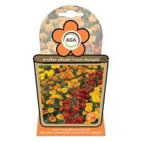 ราคา ดาวเรือง ฝรั่งเศส French Marigold 20เมล็ด (5678423503)