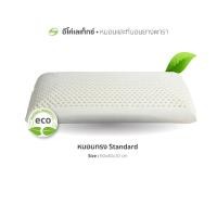 ราคา Ecolatex หมอนยางพารา ทรง Standard S11-10 (18071389653)