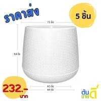 ราคา กระถางเบลล่าสไตล์มินิมอล กระถางพลาติก 5 7 8 (27252911494)