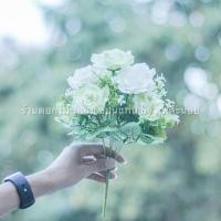 ราคา ช่อดอกกุหลาบ ดอกกุหลาบปลอม ช่อดอกไม้ปลอม สีขาว สีเขียว ในช่อเดียวกัน (7265876021)