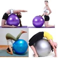 ราคา Yoga Ball โยคะบอล เส้นรอบวงหาร2 ขนาดบอล 45-65-85-95 ซม แถมฟรีที่สูบลม พร้อมส่ง Fitness Exercise ลูกบอล ออกกำลังกาย (5330296329)