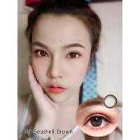 ราคา คอนแทคเลนส์ Kitty kawaii รุ่น Seashell Brown (3636911971)