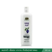 ราคา อภัยภูเบศร แชมพูอัญชัน 300 มล. (6460833451)