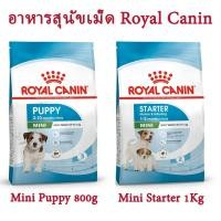 ราคา อาหารสุนัขเม็ด Royal Canin Mini Starter 1 กก และ Puppy Mini 800 กรัม (4842172589)