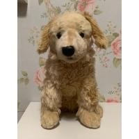 ราคา ตุ๊กตาลูกสุนัขโกลเด้น Golden Retriever ขนาด 13“ (นั่ง) ป้าย CIRCO (40709157558)