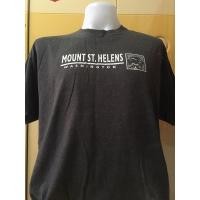 ราคา เสื้อมือสอง เสื้อยืด Hanes ไซส์ L (4159174910)