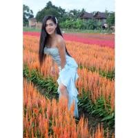 ราคา เดรสราตรียาวสีเขียวมิ้น(size s-m) (7260697089)