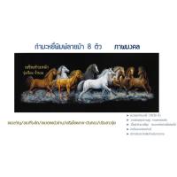 ราคา รูปภาพมงคล ผ้ากำมะหยี่ดำ พิมพ์ลายม้า8ตัว สำหรับนำไปใส่กรอบรูปขนาด 13X30 นิ้ว เสริมเงินทอง ค้าขาย การงาน ฮวงจุ้ย (9445691687)