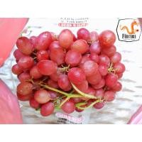 ราคา องุ่นแดงไร้เมล็ด (ยกลัง) Premium Red Grape (1PC.) ~คัดพิเศษ~ ก้านเขียว หวาน (องุ่นไร้เม็ด องุ่นนอก องุ่นสด นำเข้า) (5937402536)