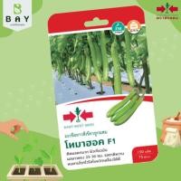 ราคา โทมาฮอคF1เมล็ดพันธุ์มะเขือยาวสีเขียวตราศรแดง (19491316249)