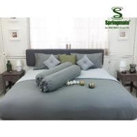 ราคา Springmate ชุดผ้าปูที่นอนพร้อมปลอกผ้านวม Premium Collection Light Grey-Grey ส่งฟรี (24872410449)