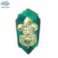 ราคา เครื่องหมายผู้บังคับบัญชาลูกเสือ ผู้กำกับลูกเสือสามัญ (2342473384)