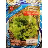 ราคา เมล็ดสลัดมินิคอส เบบี้คอส ผักกาดหอม พันธุ์ เบบี้คอส เมล็กผัก เมล็ดพันธุ์ เมล็ดสลัด (7038027632)
