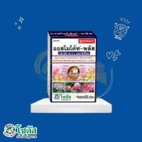 ราคา ออสโมโค้ท พลัส สูตร 12-25-6 ขนาด 1 กิโลกรัม (10447263769)