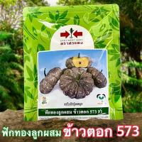 ราคา เมล็ดพันธุ์ฟักทองลูกผสม ข้าวตอก 573 F1 ตราศรแดง ขนาด 100กรัม (42222210568)
