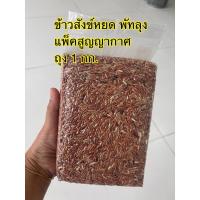 ราคา ข้าวสังข์หยด พัทลุง (26675233639)