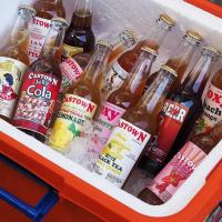 ราคา Castown Craft Soda คาสทาวน์ คราฟโซดา (13892041842)