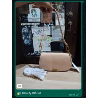 ราคา กระเป๋าสะพาย Charles and Keith Linear Metallic Accent ORI outlet [ภาพจริง] (28104012329)