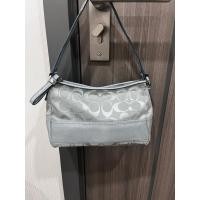 ราคา ส่งต่อ Coach Chelsea Stripe Shoulder Bag blue (43317927686)