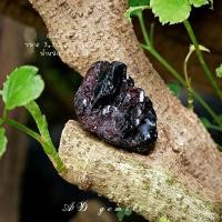 ราคา Garnet | Pyrope garnet | โกเมน #5 ♥️ #หินดิบ หินสะสม หินนำโชค หินมงคล - AD gemstone (14715000331)