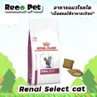 ราคา ROYAL CANIN vet CAT RENAL SELECT 4 kg อาหารแมวโรคไต (2638241446)