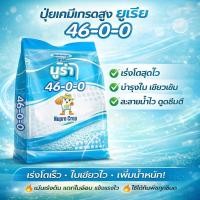 ราคา นูร่า 46-0-0 ปุ๋ยยูเรีย ปุ๋ยเคมี ( 1 Kg ) ช่วยในการเจริญเติบโตทางลำต้น เร่งเขียว สร้างใบ แตกกิ่งก้าน (27737872509)