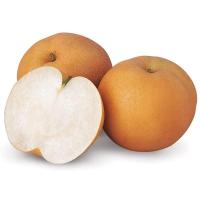 ราคา สาลี่หิมะสายพันธุ์เกาหลี Korean Variety Snow Pear [หมายเลขบาร์โค้ด 0212535000008 ] (56859728848)