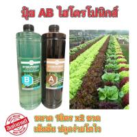 ราคา *ค่าส่งถูก* สารละลาย AB (1000mlx2ขวด)ไฮโดรโปนิกส์ เอบี ธาตุอาหาร ผักไฮโดร Hydroponics ผักสลัด ผักไทย ผักจีน clearance (12498991460)