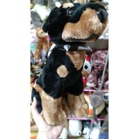 ราคา หมาร๊อตไวเลอร์ Rottweiler dog (7188898438)