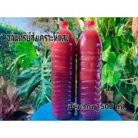 ราคา หัวเชื้อจุลินทรีย์สังเคราะห์แสงสูตรเข้มข้น100%( ขนาด 1,500 ml. ) (23689316765)