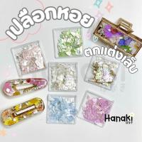 ราคา 【พร้อมส่งจากไทย】เปลือกหอยใส่ในงานเรซิ่นได้เปลือกหอยแต่งเล็บวาวสวย ทำงานฝังแล้ววิ้งวาว (25550834021)