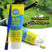ราคา ยาทาแผลต้นไม้ 100 กรัม ยาทาแผลไม้ แถมฟรีแปลงทา ป้องกันการติดเชื้อ บอนไซ ผสานแผลได้เร็วขึ้น ใช้ได้กับต้นไม้ทุกชนิด (29530151722)