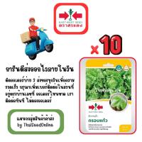 ราคา GG x 10 เมล็ดผักซองศรแดง กรอบแก้ว ผักกาดแก้ว ผักกาดหอม สินค้ายกแพ็ค (42461633900)