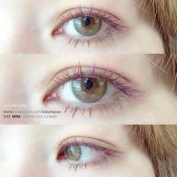 ราคา (แถมน้ำยาคอนเเทคเลนส์)คอนเเทคเลนส์ pat brown//gray (5324361909)